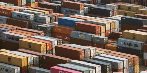 鹽田港集裝箱碼頭防疫升級 助力技術進出口安全高效